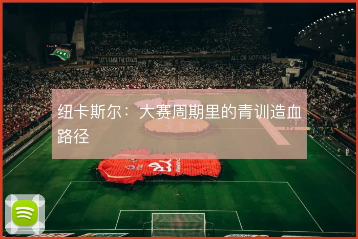 纽卡斯尔:大赛周期里的青训造血路径