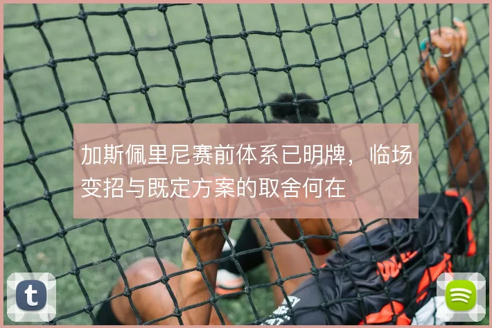 加斯佩里尼赛前体系已明牌，临场变招与既定方案的取舍何在